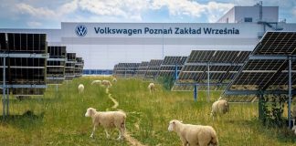 Volkswagen “вработува” овци