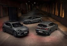 Tјунирана CUPRA ергела