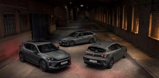 Tјунирана CUPRA ергела