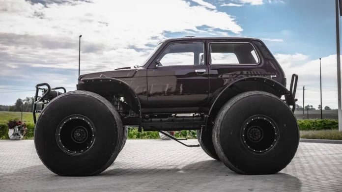 niva1